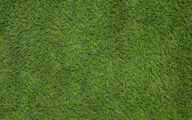 synthetic-grass-dirty-green